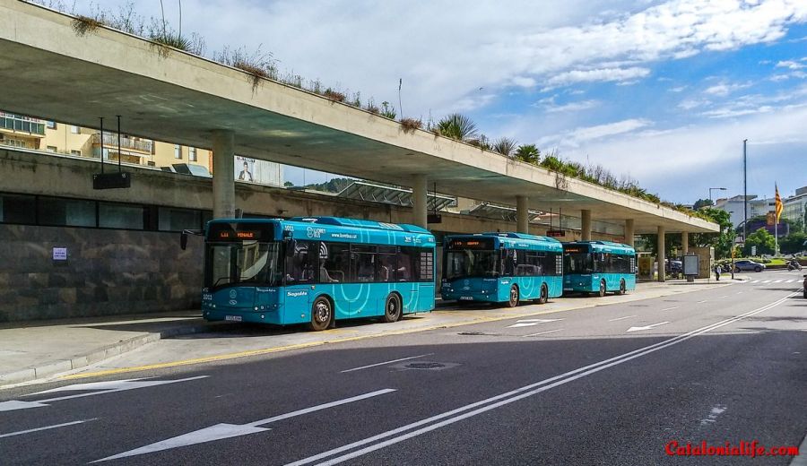 5 новых линий городского транспорта LloretBus в Ллорет де Мар