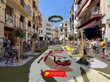 Corpus de Sitges 2026: ковры из цветов, 370 000 гвоздик и один из самых красивых праздников Каталонии