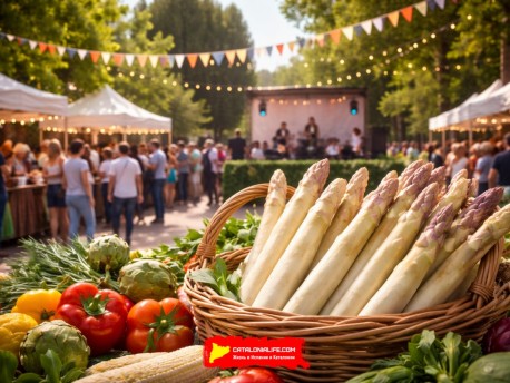 71-я Ярмарка спаржи в Гаве (71a Fira d’Espàrrecs de Gavà) 2026: программа, даты и атмосфера Temps d’Espàrrecs