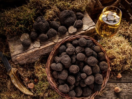 VI ярмарка трюфеля и продуктов Маэстрата в Кулье (Кастельон, Валенсия)