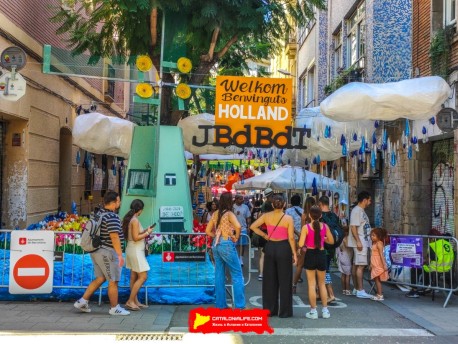 Улица Хоан Бланкес де Байш де Тот (Carrer de Joan Blanques de Baix de Tot): «Голландия JBdbDt» — прогулка по голландскому пейзажу. (‘Holanda JBdbDt’. Un passeig pel paisatge holandès.) - Феста Майор де Грасиа 2024 (Festa Major de Gràcia 2024)