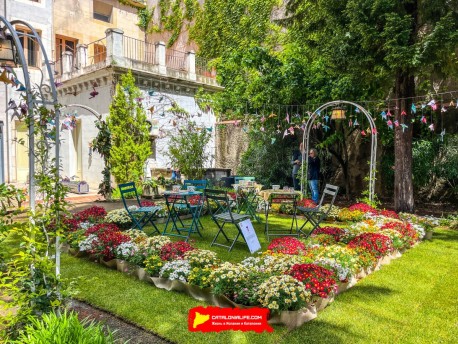 Фотоотчет: 70-ый Фестиваль цветов в Жироне, 2025 / 70ª edició de Girona, Temps de Flors 2025. Часть #3