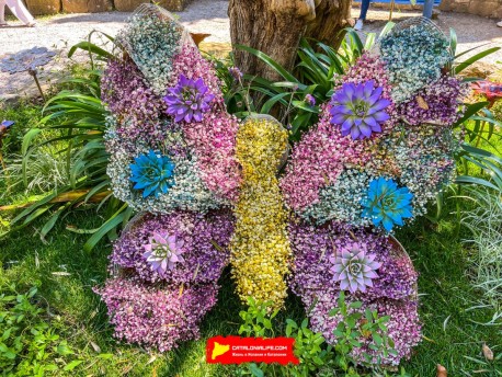 Фотоотчет: 70-ый Фестиваль цветов в Жироне, 2025 / 70ª edició de Girona, Temps de Flors 2025. Часть #2