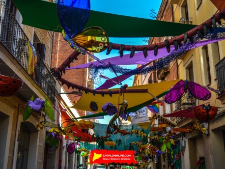 Фотоотчёт: Улица Периль (carrer Perill) Наука о насекомых (Insectes en Perill) - Феста Майор де Грасиа 2023 (Festa Major de Gràcia 2023)