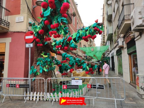 Фотоотчёт: Улица Берга (carrer Berga) - Феста Майор де Грасиа 2022 (Festa Major de Gràcia 2022)