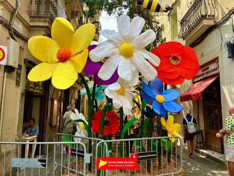 Улица Тордера (Carrer de Tordera) — «Улей» (Rusc) — Феста Майор де Грасиа 2025 (Festa Major de Gràcia 2025)