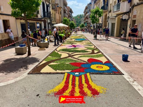 Фотоотчёт: Ковры из цветов в городе Арбусиес, 2025 / Catifes de flors naturals a Arbúcies, 2025 #1