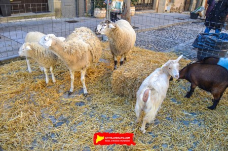 Ярмарка Святого Антония в Англесе — традиция поколений - 17, 18, 19 и 26 января 2025