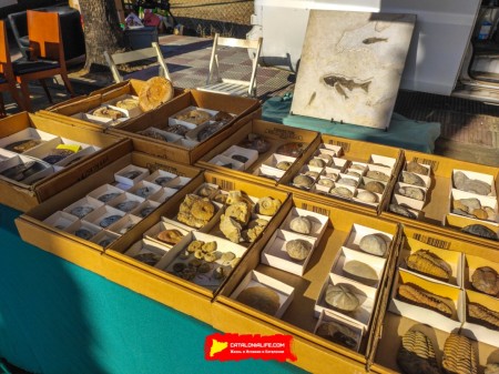 Ярмарка Святого Антония в Англесе — традиция поколений - 17, 18, 19 и 26 января 2025