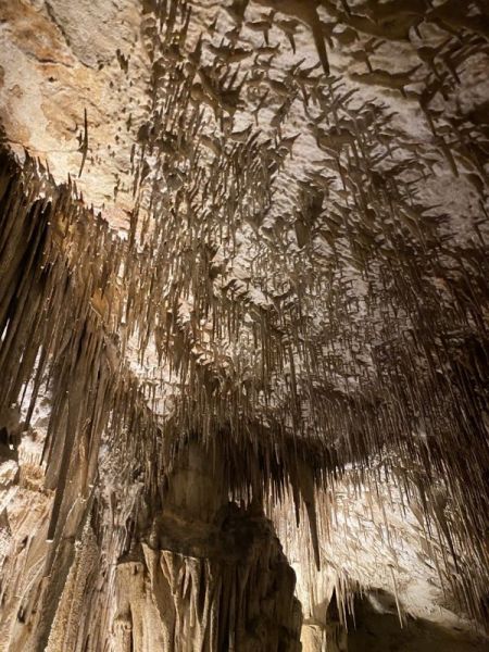 Пещеры Дракона на Майорке, Испания.