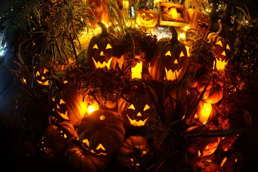 Хэллоуин: от кельтских корней до мировых рекордов, cсобенности празднования в Испании