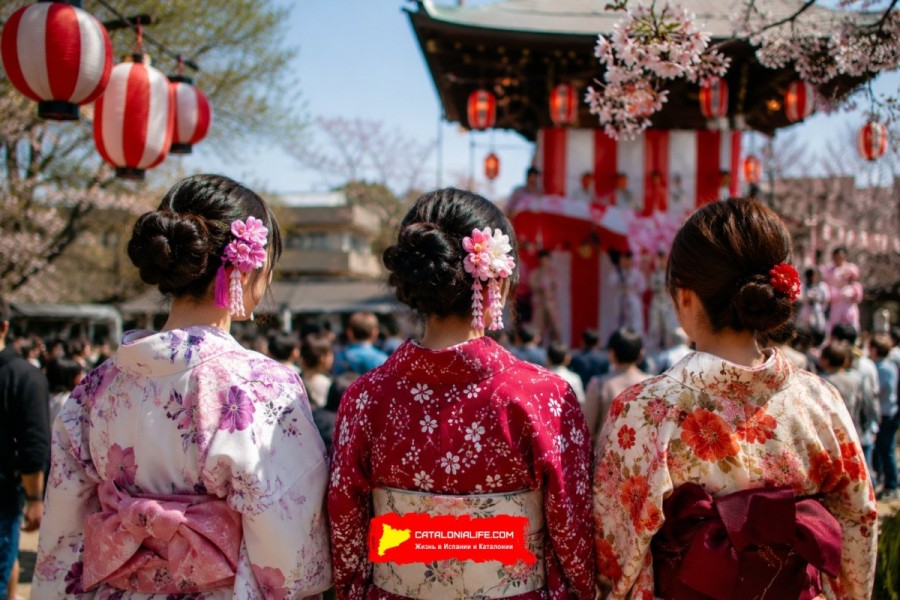 5-я ярмарка японской культуры Sakura Matsuri Sabadell 2026: Япония снова расцветёт в Сабаделе
