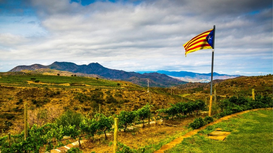 Почему Кава – это не шампанское