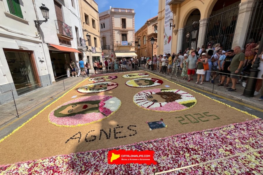 Corpus de Sitges 2026: ковры из цветов, 370 000 гвоздик и один из самых красивых праздников Каталонии