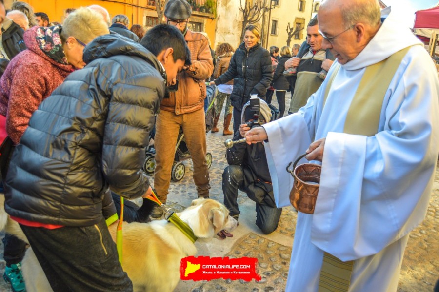 Ярмарка Святого Антония в Англесе — традиция поколений - 17, 18, 19 и 26 января 2025