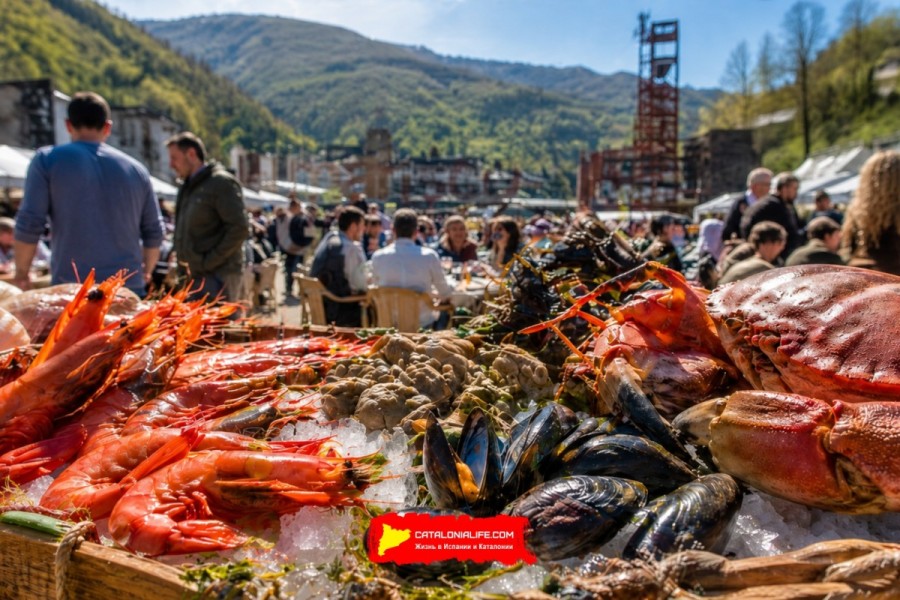 Гастрономическая ярмарка галисийских морепродуктов в Мьересе (Feria Gastronómica del Marisco Gallego en Mieres) пройдёт 8–10 мая 2026 года
