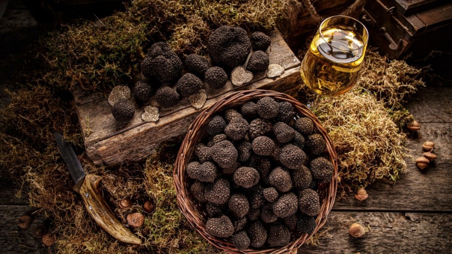 VI ярмарка трюфеля и продуктов Маэстрата в Кулье (Кастельон, Валенсия)