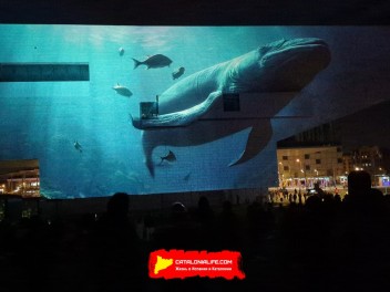 Фотоотчет: Фестиваль света в Барселоне 2025 / LLUM Bcn 2025