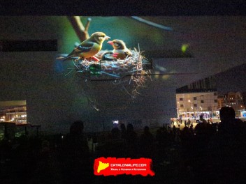 Фотоотчет: Фестиваль света в Барселоне 2025 / LLUM Bcn 2025