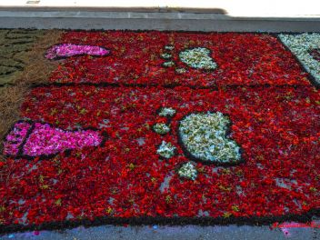 Фотоотчёт: Ковры из натуральных цветов в городе Арбусиес, 2021 / Catifes de flors naturals a Arbúcies, 2021 (Alfombras de flores naturales en Arbúcies, 2022)