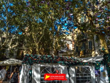 Фотоотчёт: Пласа Ровира и Триас (Plaça Rovira i Trias) Крыльями своими лететь (Alis volat propiis) - Феста Майор де Грасиа 2023 (Festa Major de Gràcia 2023)