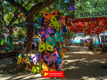 Фотоотчёт: Пласа дель Норд (Plaça del Nord) Летом каждая бука жива (A l’estiu tota cuca viu) - Феста Майор де Грасиа 2023 (Festa Major de Gràcia 2023)