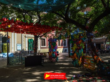 Фотоотчёт: Пласа дель Норд (Plaça del Nord) Летом каждая бука жива (A l’estiu tota cuca viu) - Феста Майор де Грасиа 2023 (Festa Major de Gràcia 2023)