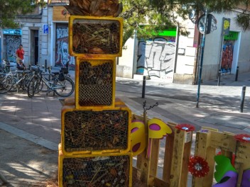 Фотоотчёт: Пласа дель Норд (Plaça del Nord) Летом каждая бука жива (A l’estiu tota cuca viu) - Феста Майор де Грасиа 2023 (Festa Major de Gràcia 2023)
