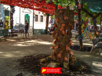 Фотоотчёт: Пласа дель Норд (Plaça del Nord) Летом каждая бука жива (A l’estiu tota cuca viu) - Феста Майор де Грасиа 2023 (Festa Major de Gràcia 2023)