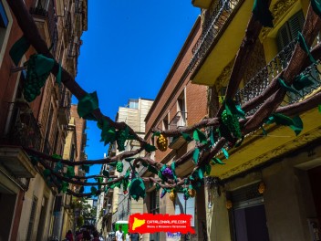 Фотоотчёт: Улица Берга (carrer Berga) Урожай 2023 (Collita 2023) - Феста Майор де Грасиа 2023 (Festa Major de Gràcia 2023)