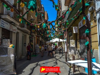 Фотоотчёт: Улица Берга (carrer Berga) Урожай 2023 (Collita 2023) - Феста Майор де Грасиа 2023 (Festa Major de Gràcia 2023)