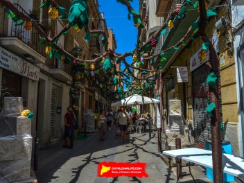 Фотоотчёт: Улица Берга (carrer Berga) Урожай 2023 (Collita 2023) - Феста Майор де Грасиа 2023 (Festa Major de Gràcia 2023)