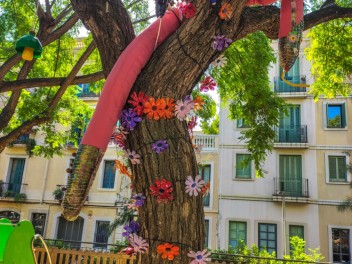 Фотоотчёт: Пласа дель Норд (Plaça del Nord) Летом каждая бука жива (A l’estiu tota cuca viu) - Феста Майор де Грасиа 2023 (Festa Major de Gràcia 2023)