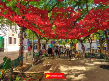 Фотоотчёт: Пласа дель Норд (Plaça del Nord) Летом каждая бука жива (A l’estiu tota cuca viu) - Феста Майор де Грасиа 2023 (Festa Major de Gràcia 2023)