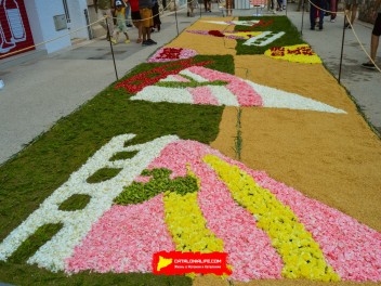 Ковры из цветов в Ситжесе, 2024 / Catifes de flors de Sitges, 2024 / Alfombras de Flores Naturales, Sitges, 2024
