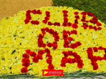 Ковры из цветов в Ситжесе, 2024 / Catifes de flors de Sitges, 2024 / Alfombras de Flores Naturales, Sitges, 2024