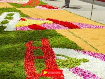 Ковры из цветов в Ситжесе, 2024 / Catifes de flors de Sitges, 2024 / Alfombras de Flores Naturales, Sitges, 2024