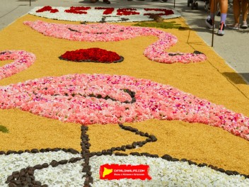 Ковры из цветов в Ситжесе, 2024 / Catifes de flors de Sitges, 2024 / Alfombras de Flores Naturales, Sitges, 2024