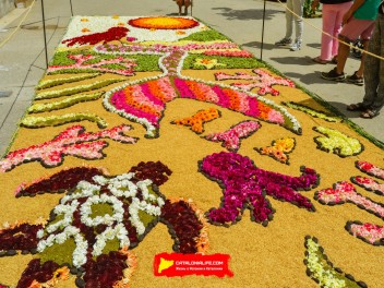 Ковры из цветов в Ситжесе, 2024 / Catifes de flors de Sitges, 2024 / Alfombras de Flores Naturales, Sitges, 2024