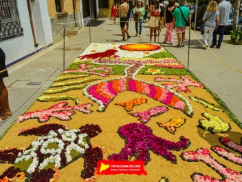 Ковры из цветов в Ситжесе, 2024 / Catifes de flors de Sitges, 2024 / Alfombras de Flores Naturales, Sitges, 2024