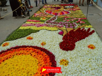 Ковры из цветов в Ситжесе, 2024 / Catifes de flors de Sitges, 2024 / Alfombras de Flores Naturales, Sitges, 2024