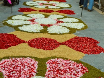 Ковры из цветов в Ситжесе, 2024 / Catifes de flors de Sitges, 2024 / Alfombras de Flores Naturales, Sitges, 2024