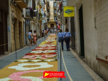 Ковры из цветов в Ситжесе, 2024 / Catifes de flors de Sitges, 2024 / Alfombras de Flores Naturales, Sitges, 2024