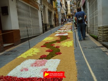 Ковры из цветов в Ситжесе, 2024 / Catifes de flors de Sitges, 2024 / Alfombras de Flores Naturales, Sitges, 2024