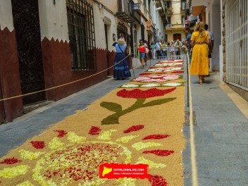 Ковры из цветов в Ситжесе, 2024 / Catifes de flors de Sitges, 2024 / Alfombras de Flores Naturales, Sitges, 2024