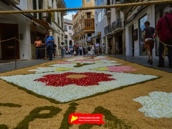 Ковры из цветов в Ситжесе, 2024 / Catifes de flors de Sitges, 2024 / Alfombras de Flores Naturales, Sitges, 2024