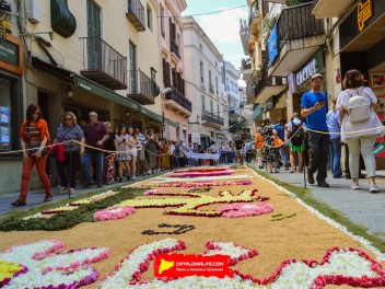 Ковры из цветов в Ситжесе, 2024 / Catifes de flors de Sitges, 2024 / Alfombras de Flores Naturales, Sitges, 2024