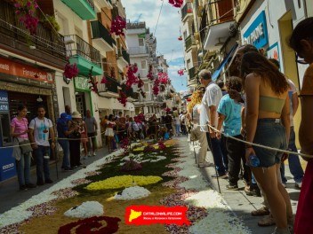Ковры из цветов в Ситжесе, 2024 / Catifes de flors de Sitges, 2024 / Alfombras de Flores Naturales, Sitges, 2024