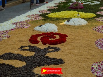Ковры из цветов в Ситжесе, 2024 / Catifes de flors de Sitges, 2024 / Alfombras de Flores Naturales, Sitges, 2024