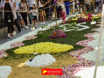 Ковры из цветов в Ситжесе, 2024 / Catifes de flors de Sitges, 2024 / Alfombras de Flores Naturales, Sitges, 2024